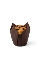 MUFFIN-PEPITAS-1-IMG_3225-Editar